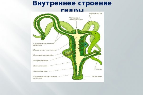 Кракен 17 рабочая ссылка